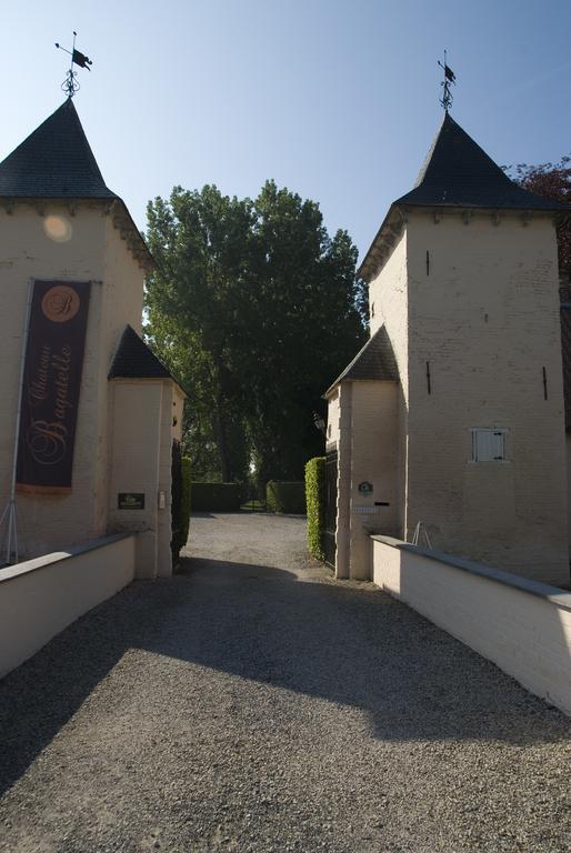 B&B Chateau Bagatelle Frasnes-lez-Anvaing Extérieur photo