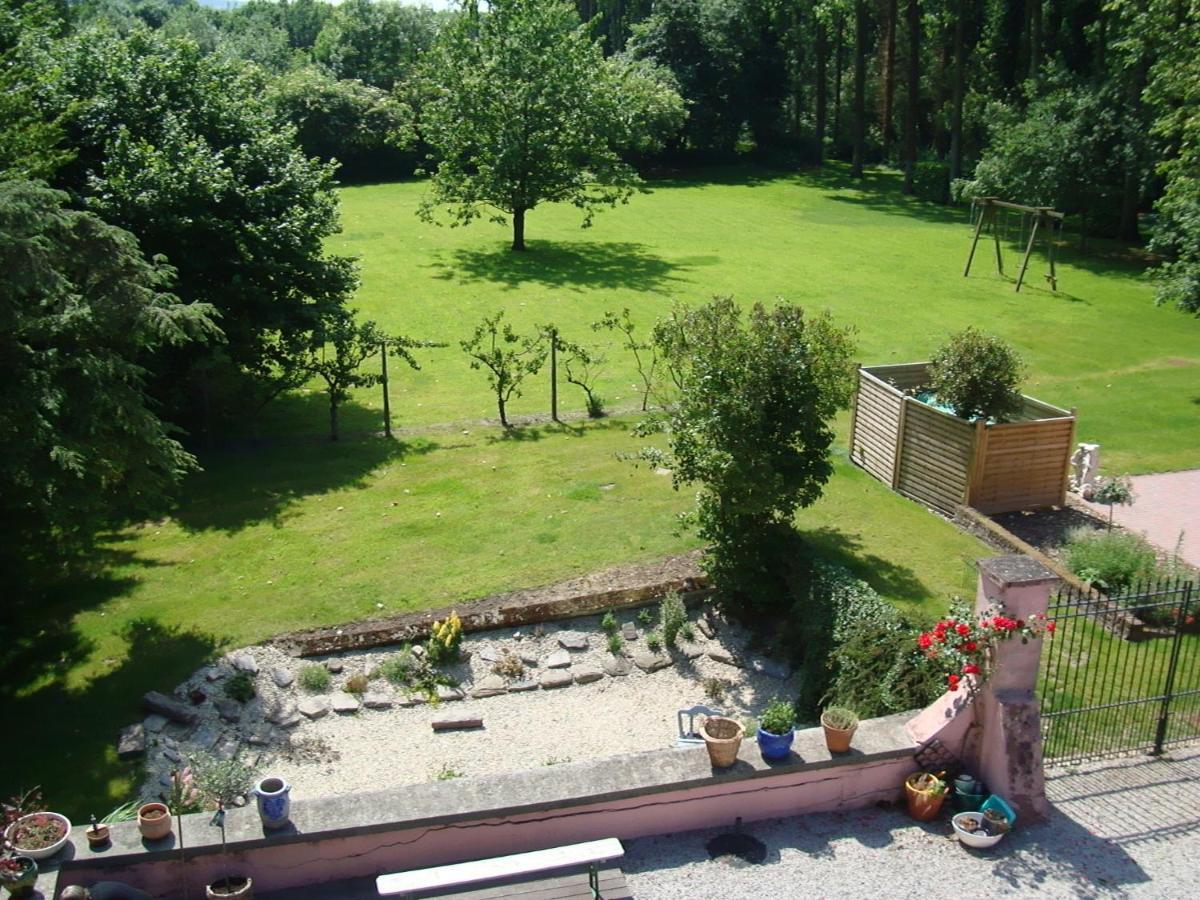 B&B Chateau Bagatelle Frasnes-lez-Anvaing Extérieur photo